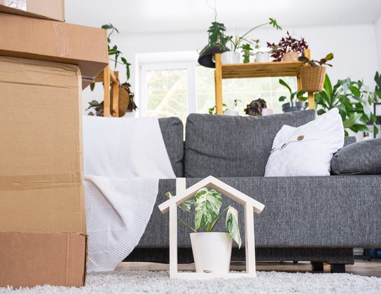 Verhuisdozen en houten huisje met plant in de woonkamer van een net gekochte woning in Voorschoten